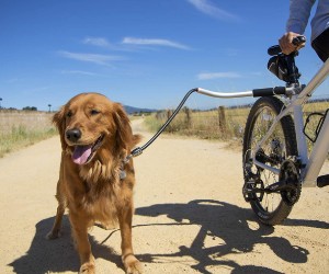 Sherpa Cycleash - Dog Bike Leash review