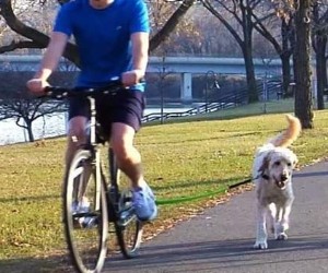 Woof Dog Bicycle Exercise Leash review