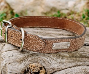 Mighty Paw Leather Collar