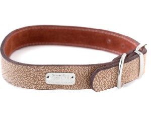 Mighty Paw Leather Dog Collar review