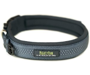 Mighty Paw Sport Collar review