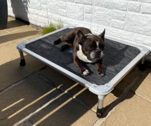 Veehoo Chew Proof Elevated Dog Bed review