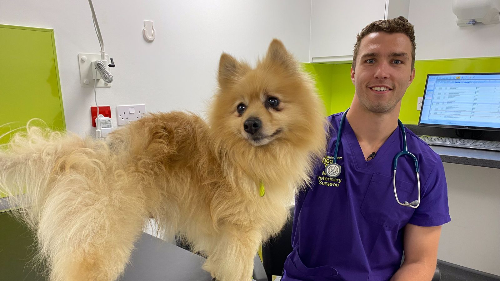 Vet Matt Perks with Bear, a 4 year old Pomeranian, who has had a testicular tumour removed. Bear will soon be ready to be re- homed.