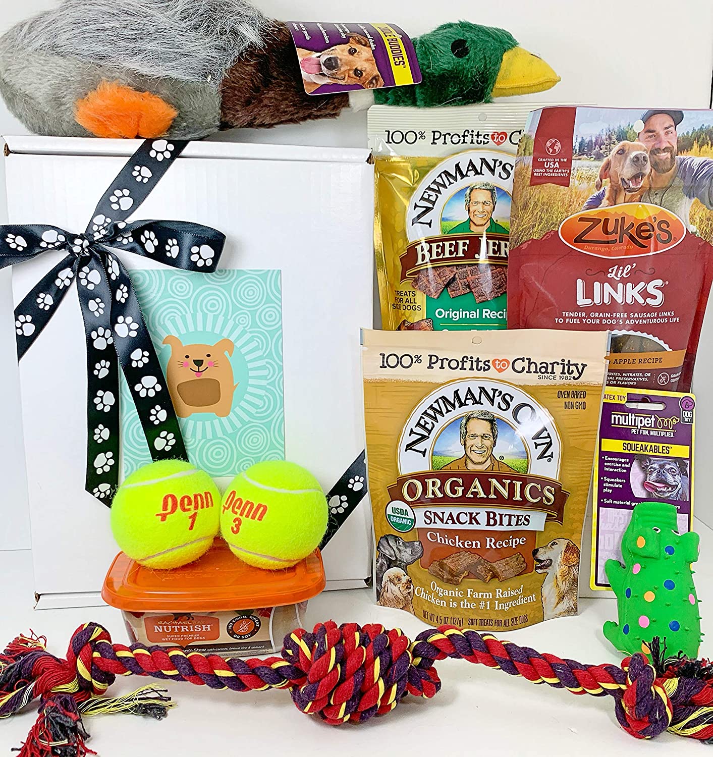 Deluxe Puppy Gift Box with Treats and Toys