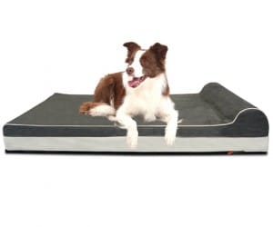 Laifug Orthopedic Memory Foam Dog Bed review