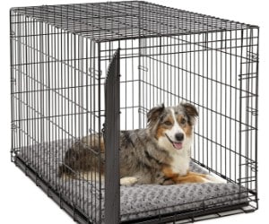 Midwest Homes for Pets Dog Bed for Crates