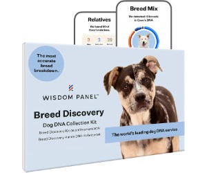 Wisdom Panel Hunde-DNA-Testkit