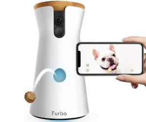 FURBO Dog Camera