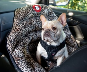 PupSaver Dog Car Seat